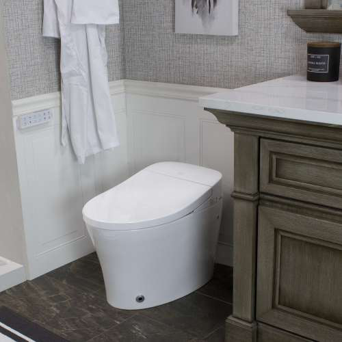 A white toilet bowl with a dual flush
